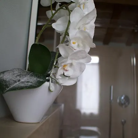 Le Di San Vitale Easy Vendégház Ravenna