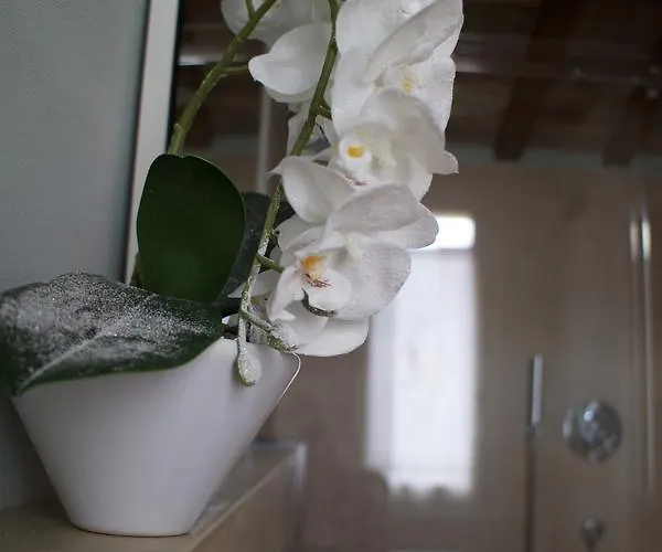 Le Di San Vitale Easy Penzion Ravenna